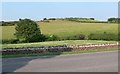 Countryside next to Charley Road