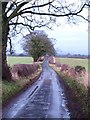 Back Lane, Newby Wiske