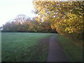 Autumn on the Green Chain Walk at Whytes Woodland, Chislehurst