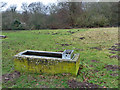 Water trough and molehills