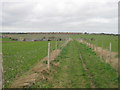 Footpath to Shottendane Road