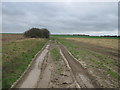 Bridleway to Lydden