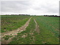 Bridleway to Lydden Farm