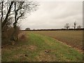 Footpath north of Aspley Guise