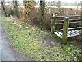 Snowdrops beside the footbridge