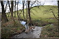 The view downstream on Knowl Water from a bridge near Pippacott