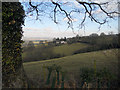 Across the fields at Titterhill