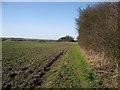 Footpath to Hundon