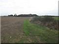 Bridleway to Haine Road (2)