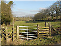 Footpath at Red Furlongs