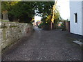 Cobbled lane to Church Farm, Tarvin