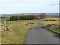 Minor road on Wards Hill