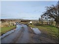 Cattle grid near Embleton Terrace