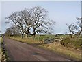 Country road near Wingates Moor Farm