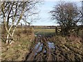 Muddy field entrance