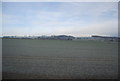 Large crop field near Charing