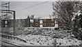 Houses on Lulworth Avenue