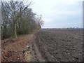 Informal footpath at the field boundary