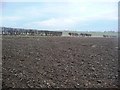 Ploughed field beyond Limes Close