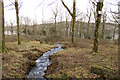 SD3792 : Beck in Moss End Wood by Tom Richardson