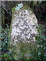 Inscribed stone on Pont Henrietta Mair