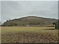 View across paddock to the A281 and Newtimber Hill