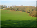 Arable land and woodland at Ballis Wood