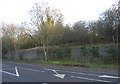 Braunston-Dismantled Bridge