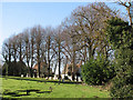 Hadstock churchyard in February