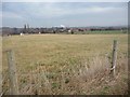 Grassland bounded on two sides by footpath