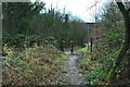 Path towards the aqueduct