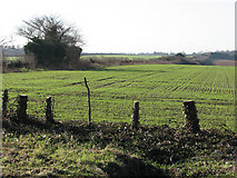 TL5353 : Remains of the Newmarket and Chesterford Railway by John Sutton