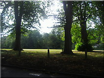 TQ3298 : Hilly Fields Park on Phipps Hatch Lane by David Howard