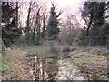 Small pond on a minor tributary of the Kyd Brook, Darrick Wood