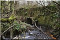 Knowl Water passing under the road at Patsford as seen from upstream