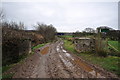 A track leading to Lower and Higher Metcombe Farms