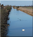 New River Ancholme near Snitterby