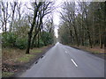 Short Thorn Road, Felthorpe