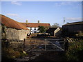 Feeding time at Strode Farm