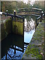 Woodham No. 5 Lock on the Basingstoke Canal