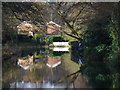 Reflections on the Basingstoke Canal