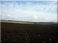 A footpath to Micklefield