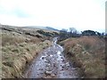 The Midshires Way near Brookfield