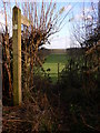 Footpath sign on road near Snap Wood