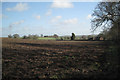 Field south of Glebe Farm