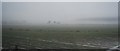 Drainage ditch crossing a large field on a misty day