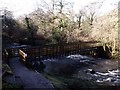 River Carron, Fankerton footbridge