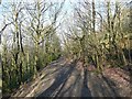 Bridleway through Ravenscliffe Wood, Calverley