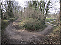 Footpaths in Greenfield Valley