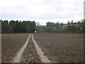 Footpath to Long Drove